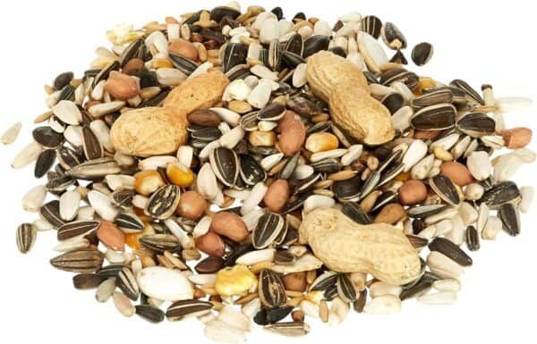 Mixtura de semillas para aves en diferentes colores y tamaños con cacahuetes incluidos.