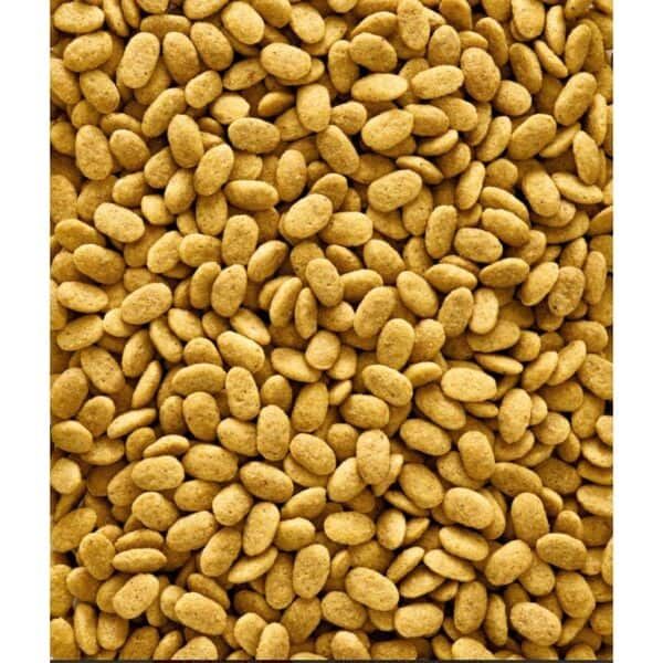 Cacahuetes dorados crudos para snack y repostería, naturales y sabor intenso.