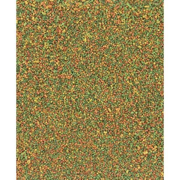 Semillas de césped natural, mezcla de semillas verdes y amarillas, césped en crecimiento para jardín y campo.