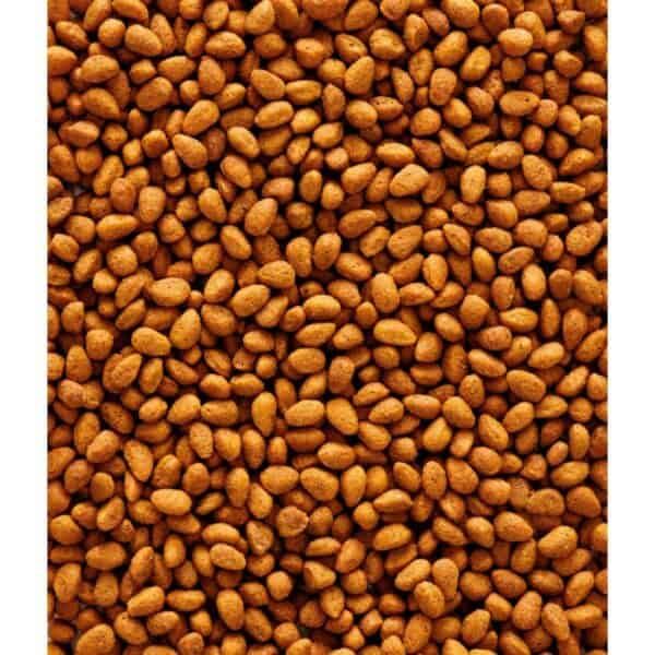 Semillas de comida para mascotas, croquetas para perros y gatos. Comida natural y saludable.