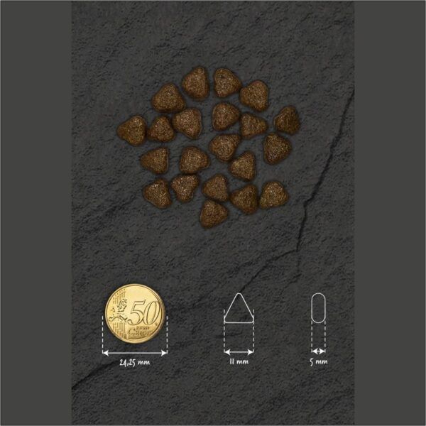 Mini corazones de chocolate con gold en la tienda online TodoMASKOTAS. Perfectos para decorar o regalar en cumpleaños y eventos especiales.