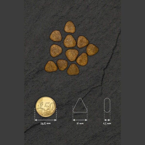 Piedras para mascotas en forma de corazón y triángulo, tamaño compacto, ideales para decorar o hacer ofrendas para animales.