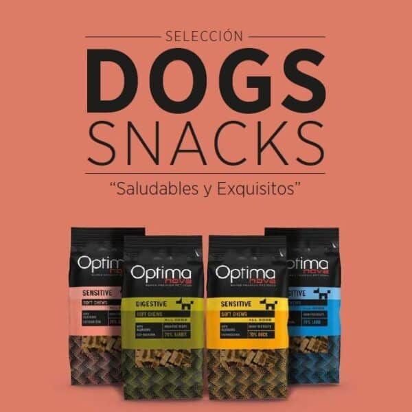 Snacks saludables para perros en diferentes sabores y tamaños, ideales para la alimentación canina moderna.