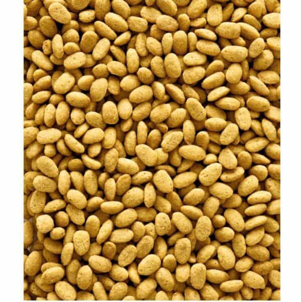 Semillas de sésamo crudo para repostería y cocina saludable.