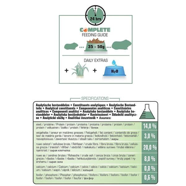 Proteńa de mascota con alimento seco 24 horas, ideal para mascotas saludables y felices.