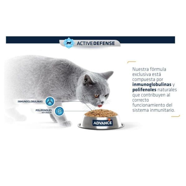 Alimento para gatos con fórmula inmunoglobulinas y polifenoles naturales, soporte para el sistema inmunitario.