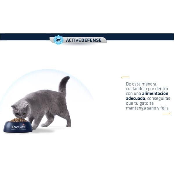 Alimento para gatos con nutrición equilibrada y saludable para su bienestar.