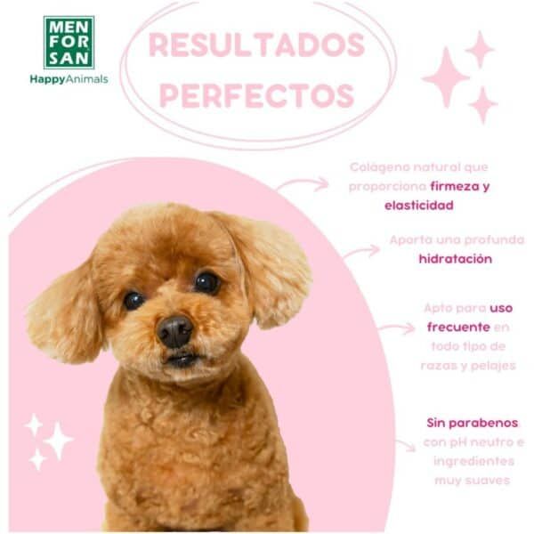 Natural collaro para perros, firmeza y elasticidad con ingredientes suaves, sin parabenos.
