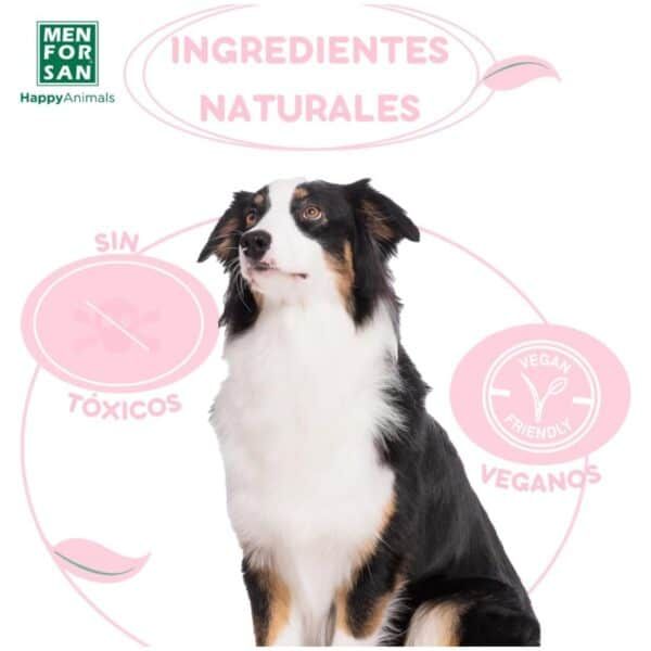 Comida para perros natural y vegana sin ingredientes tóxicos.