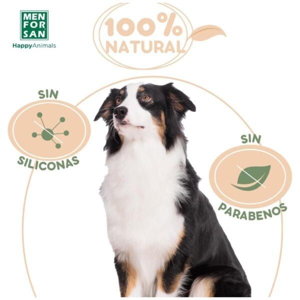 A1-07e78b8a18bde50a8a10bcf8b192530d.jpg.