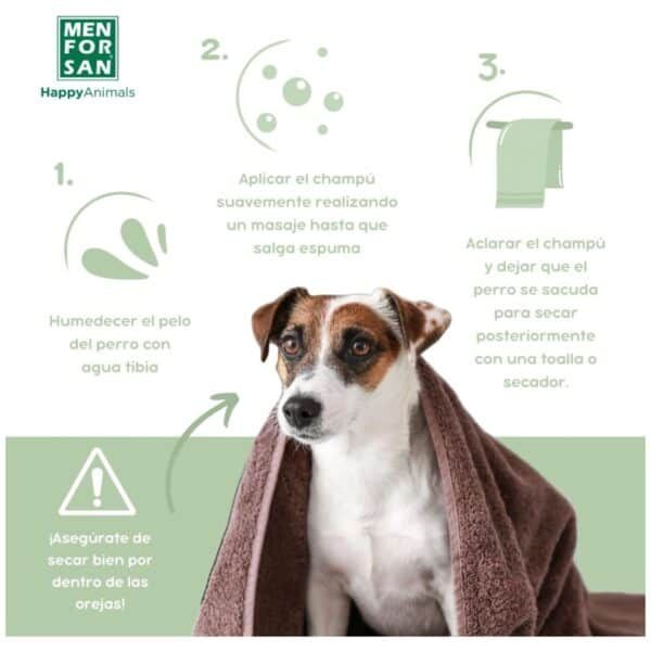 Consejos para secar y cuidar la higiene del perro tras el baño. Imagen con instrucciones paso a paso.