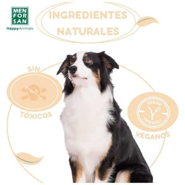 Ingredientes naturales para mascotas sin tóxicos ni ingredientes dañinos. Opciones veganas y ecológicas en TodoMASKOTAS.
