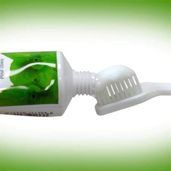 Crema dental con cepillo, higiene bucal, cuidado de dientes y encías, salud oral, ingredientes naturales.