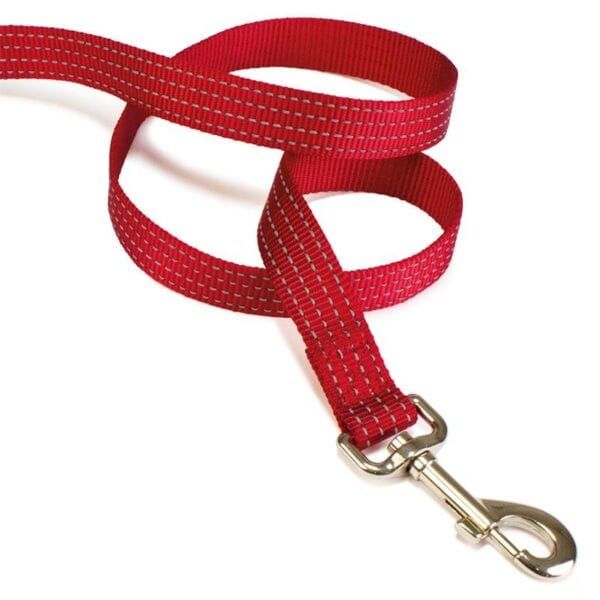 Correa para perros de nylon rojo con clip metálico para paseos seguros y cómodos.