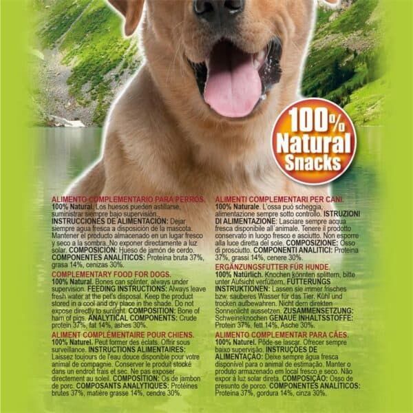 Proteo de cachorro natural con snacks 100% orgánicos para perros en ambiente verde al aire libre.