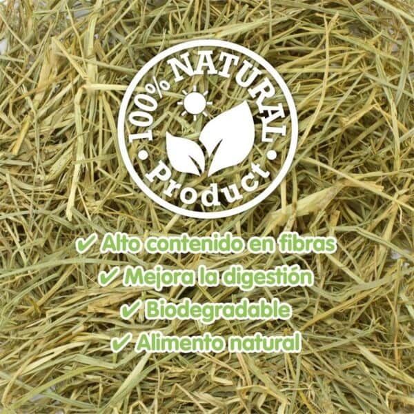 100% natural product label with leaves icon, eco-friendly organic plant symbol.