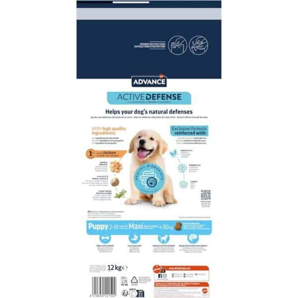 Advance Active Defense pienso para perros con ingredientes de alta calidad, fórmula reforzada y soporte inmunológico.