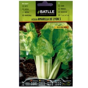 Acelga amarilla de Lyon 3 para huerto y jardín, semillas de calidad, fácil cultivo, floración ligera, rastreo y disponibilidad en tienda online.
