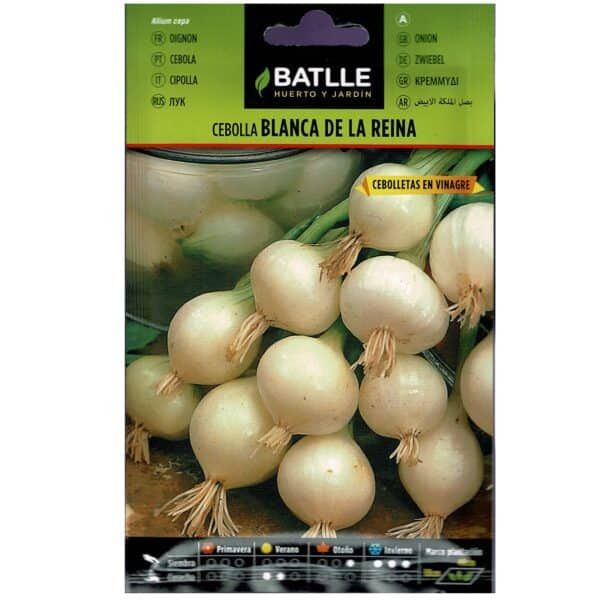 Cebolla blanca de la reina en Bolsa de semillas para huerto y jardín.