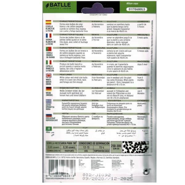Cebolla blanca y la reina para sembrar bulbos de cebolla en jardín y huerto, plantación en interior o exterior, fácil de cultivar.