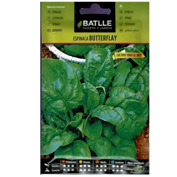 Batlle semillas de espinaca Butterfly para cultivo todo el año, huerto y jardín saludable.