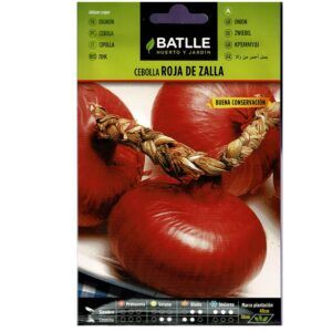 Bulbos de cebolla roja de zalla para cultivo en huerto y jardín, buena conservación, variedad de plantación y fácil de sembrar.