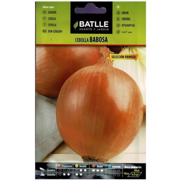 Bulbo de cebolla babosa, cebolla de primavera, semilla para huerto y jardín, cultivo de cebolla.