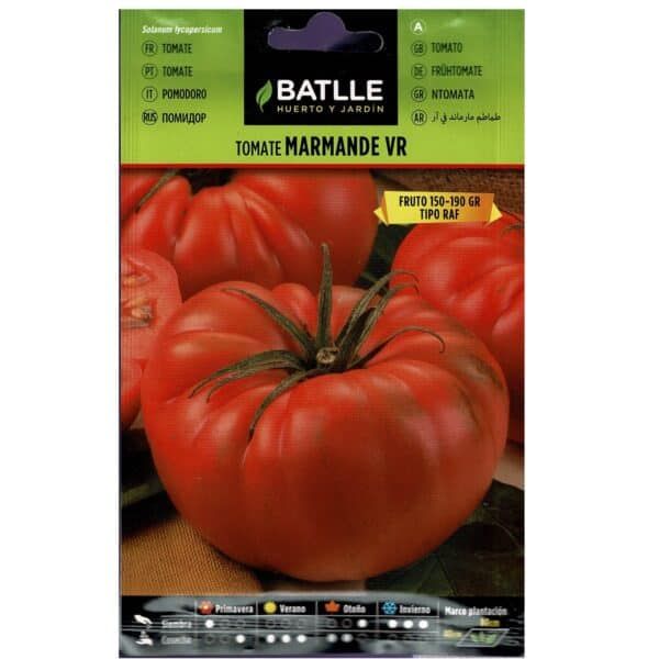 Tomate Marmande VR de semillas BATLLE, ideal para huertos y jardinería, de frutos grandes y de sabor delicioso.