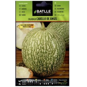Calabaza Calabacín Cabello de Ángel Batlle 3-5kg cultivo en casa y huerto ecológico.