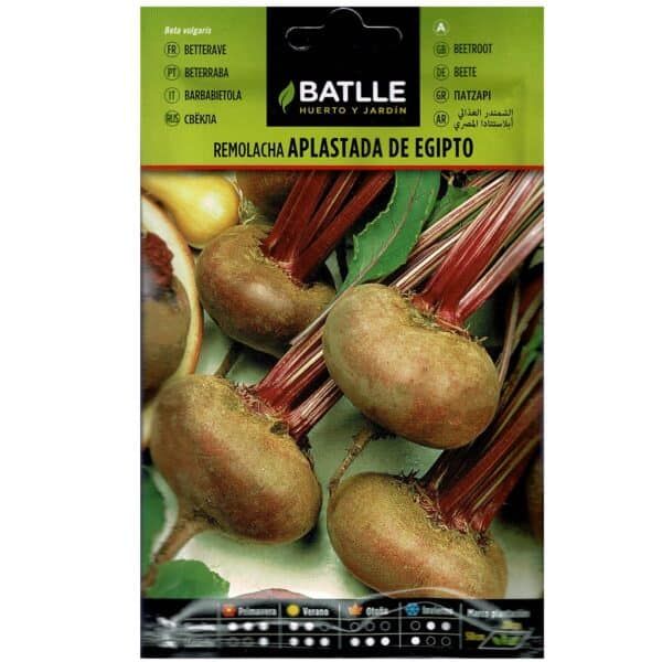 Remolacha aplacada de Egipto para huerto y jardín, semillas de calidad para cultivo saludable.