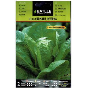 Lettuga romana invernada para huerto y jardín, semillas de calidad, fácil de cultivar.