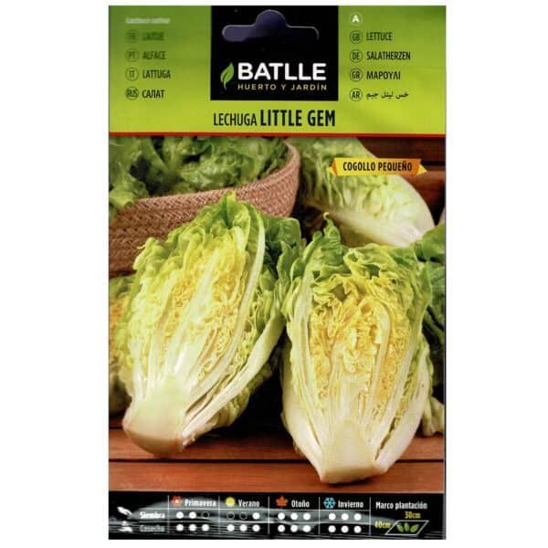Lechuga Little Gem para huerto y jardín, variedad pequeña de lechuga fresca y crujiente, ideal para ensaladas y cultivo en casa.