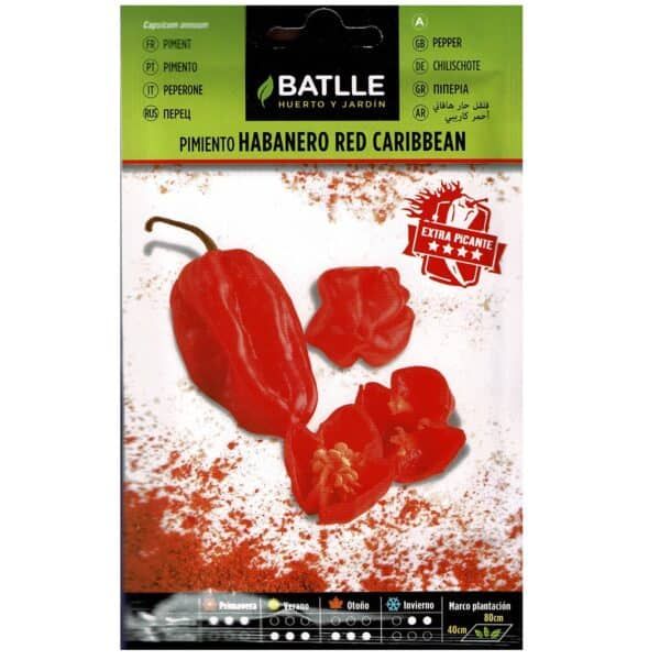 Pimiento habanero Red Caribbean de semilla para cultivo en huerto o jardín.