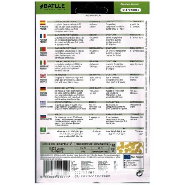 Pimiento padrón, cultivo y características.