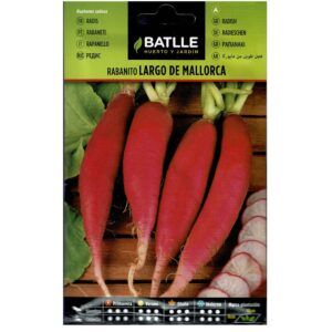 Rábano largo de Mallorca semillas ecológicas para cultivo en huerto y jardín.