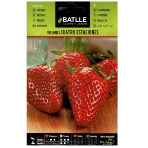 Fresas cuatros estaciones paquete de semillas, cultivo en huerto o jardín, ideal para primavera y verano, sabor dulce y jugoso, 15 cm de profundidad.