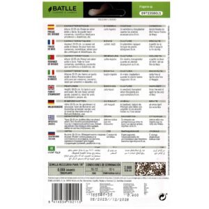 Jardinería, semillas de frambuesa de bosque, cultivo y cosecha, planta resistente al fin de mayo, semillas para sembrar y transplantar en abril y mayo.