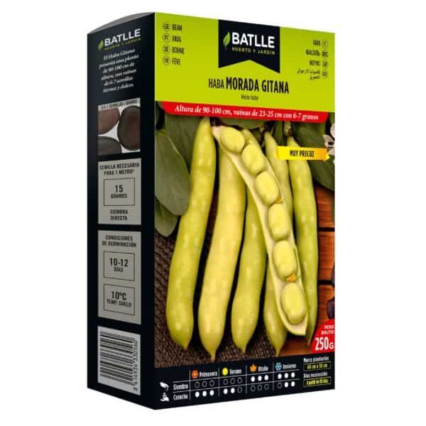 Batlle habas morada gitana para cultivo, semillas plantadas, germinación y cosecha en tu huerto o jardín.