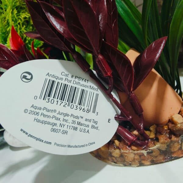 Tierra de interior con plantas de hojas moradas y verdes.