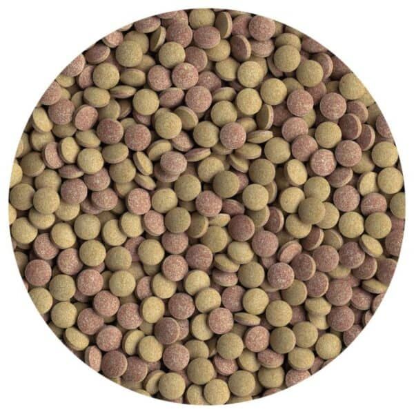 Granos de semillas para mascotas en diferentes colores y tamaños.