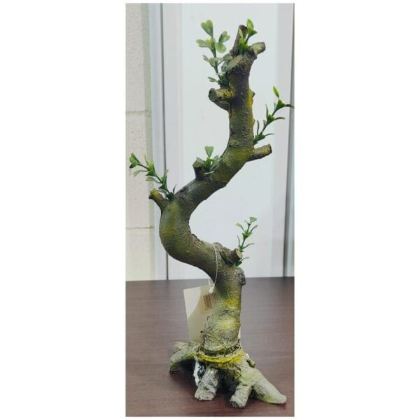 Rama de árbol Bonsái con hojas verdes en interior.
