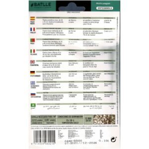 Semillas de hierba aromática para infusiones, hojas de 40-45 cm, cultivo en semillero, trasplantar cuando alcanzan 7-8 cm, ideal para infusiones, TodoMASKOTAS.