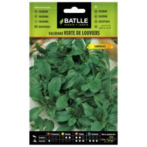 Verde de louviers valeriána, semilla de plantas aromáticas para huerto y jardín, fácil cultivo.