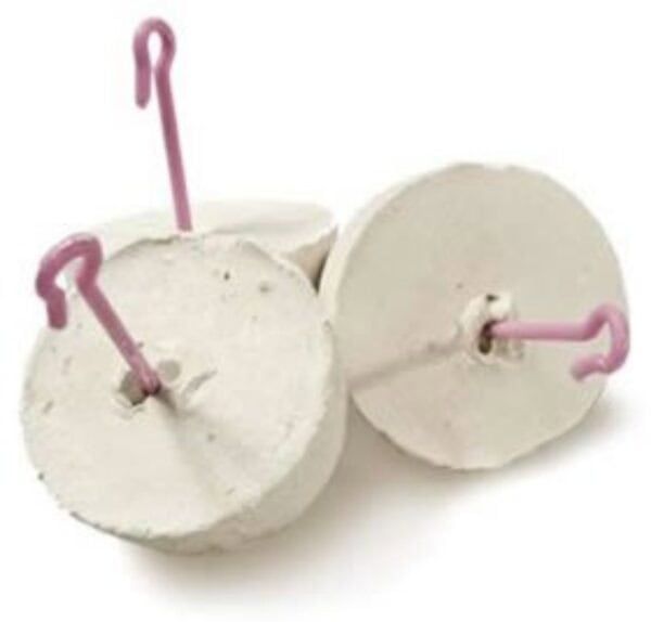 Discos de corte en section con palillos como accesorios de merienda infantil.