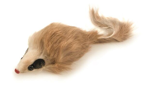 Pelusa de animal de peluche, pendiente de compra en TodoMASKOTAS.