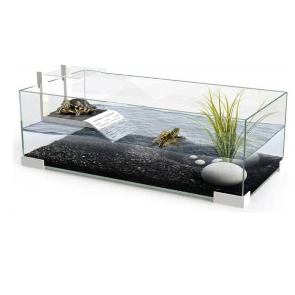Tortuga en terrario de cristal con plantas y decoración minimalista.
