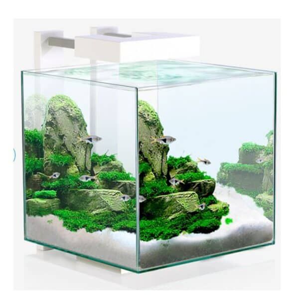 Vive la naturaleza en tu acuario con decoración de rocas y plantas acuáticas.