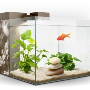 Vivero acuático con plantas y pez dorado en acuario de cristal para mascotas.