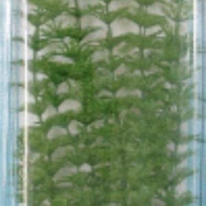 Folla de árbol artificial para decoración, tamaño grande, realista y duradera, ideal para jardines y eventos.