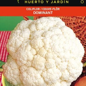 Flor de coliflor dominante en paquete de semillas para cultivar en huerto o jardín.